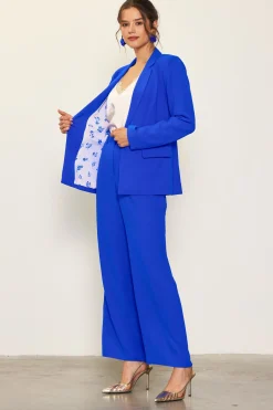 Pintuck Wide Leg Trousers*SKIES ARE BLUE Hot