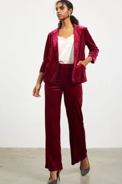 Ruched Velvet Blazer*SKIES ARE BLUE Best