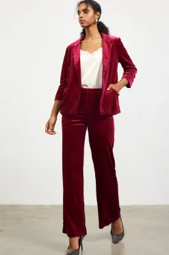 Ruched Velvet Blazer*SKIES ARE BLUE Best