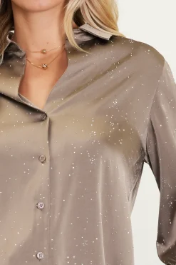 Shimmery Button Down Blouse*SKIES ARE BLUE New