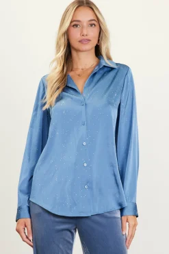Shimmery Button Down Blouse*SKIES ARE BLUE New